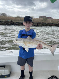 Galveston Report Photo 2