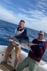 Cabo San Lucas Report Photo 1