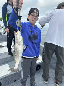 Crystal River Report Photo 1