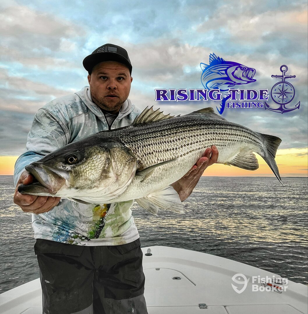 Milford Report Photo 0