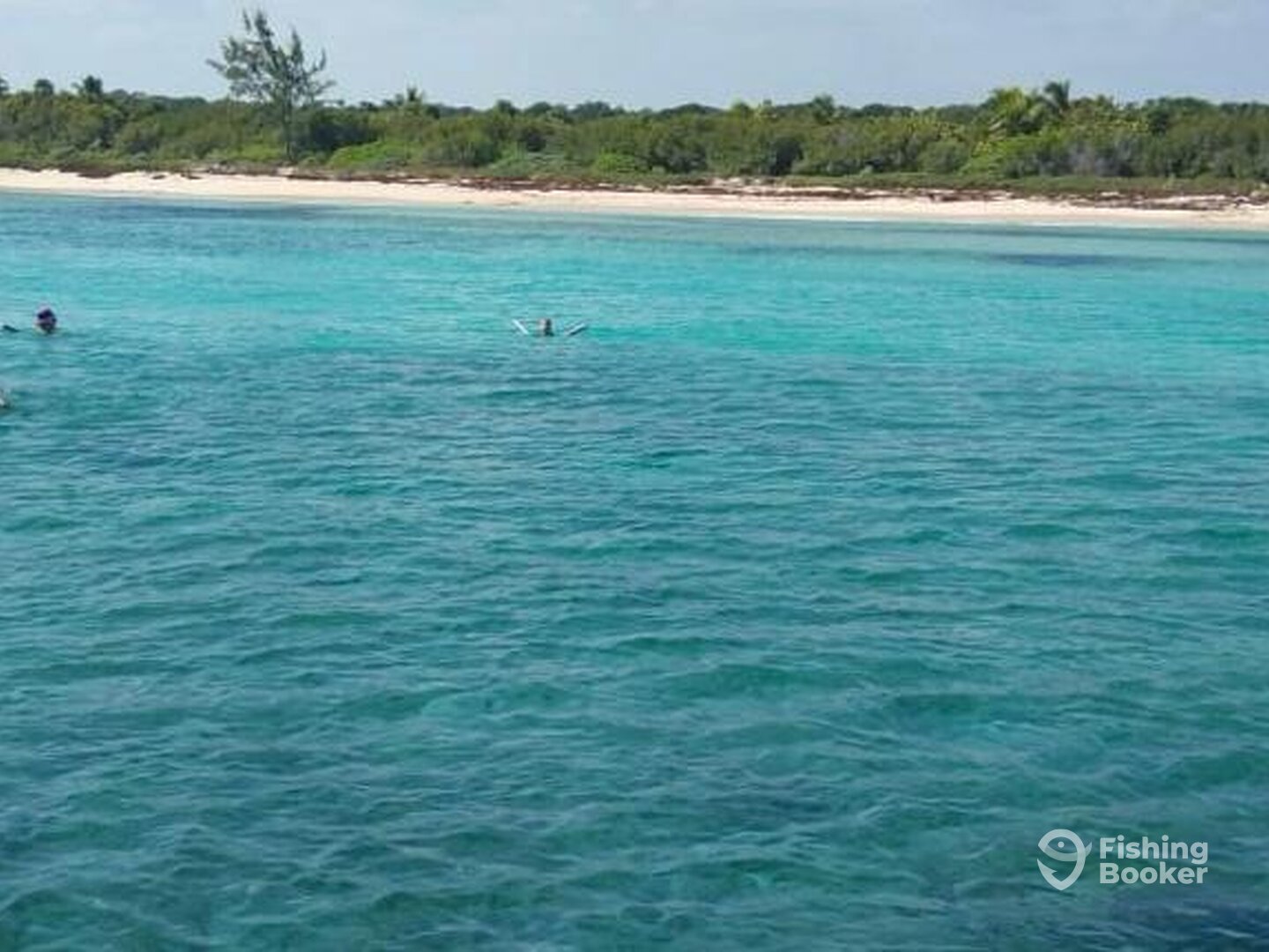 Puerto Aventuras Report Photo 0