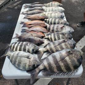 Bay Pines Report Photo 1