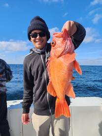 San Diego Report Photo 1