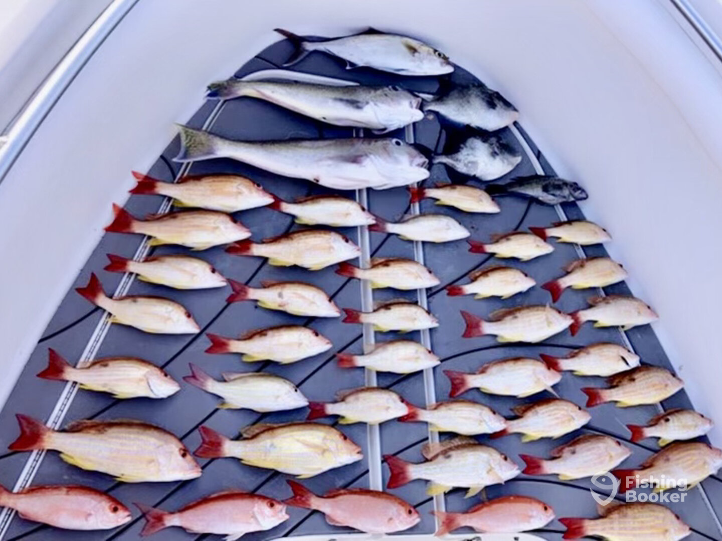 Vero Beach Report Photo 0