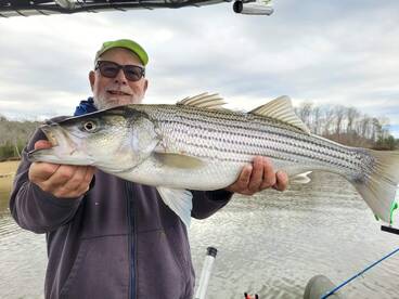 Rutledge Report Photo 1