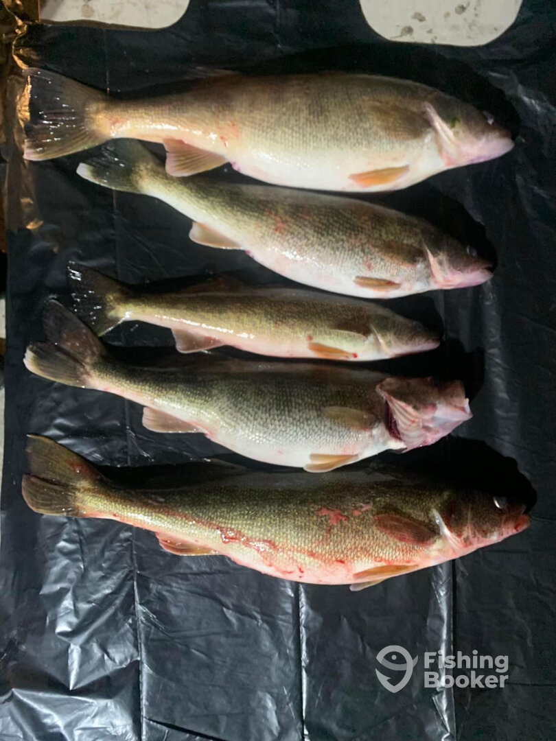 Whitehall Report Photo 0