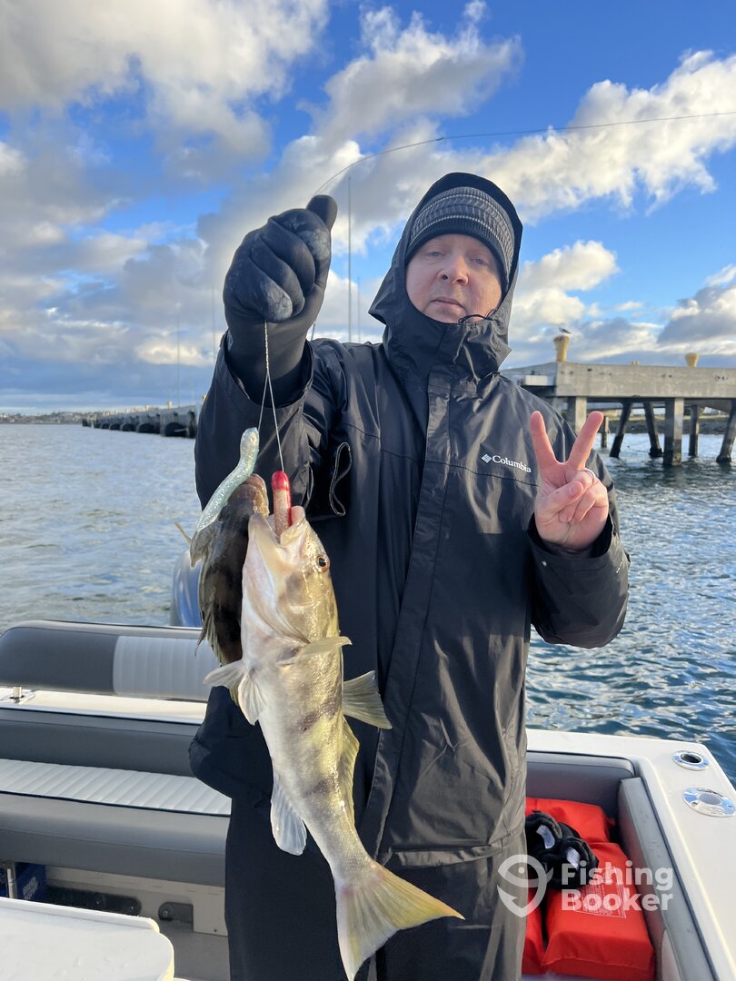 San Diego Report Photo 0