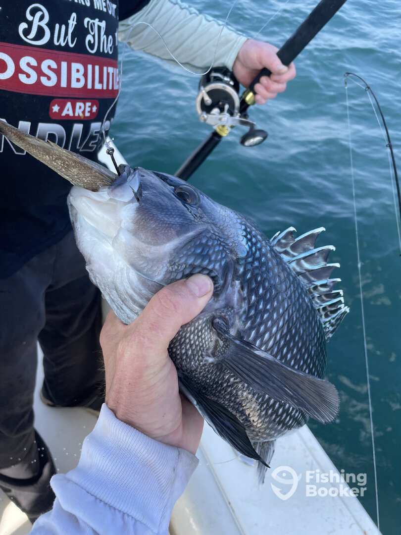 Murrells Inlet Report Photo 0