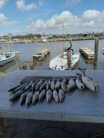 Wife's birthday trip