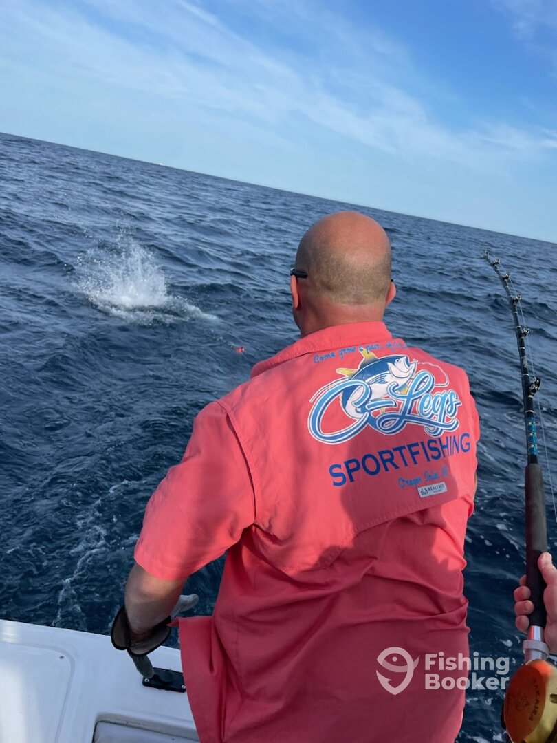 Manteo Report Photo 0