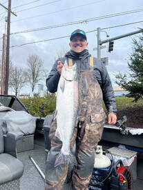 Spring chinook