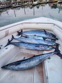 Plenty of action in the Gulfstream