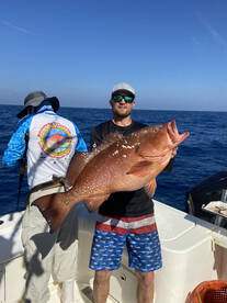 MEGA GIANT RED GROUPER