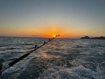 Saint Kitts and Nevis Report Photo 4