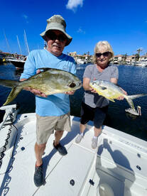 Punta Gorda Report Photo 2