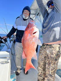 Gulf Shores Report Photo 2