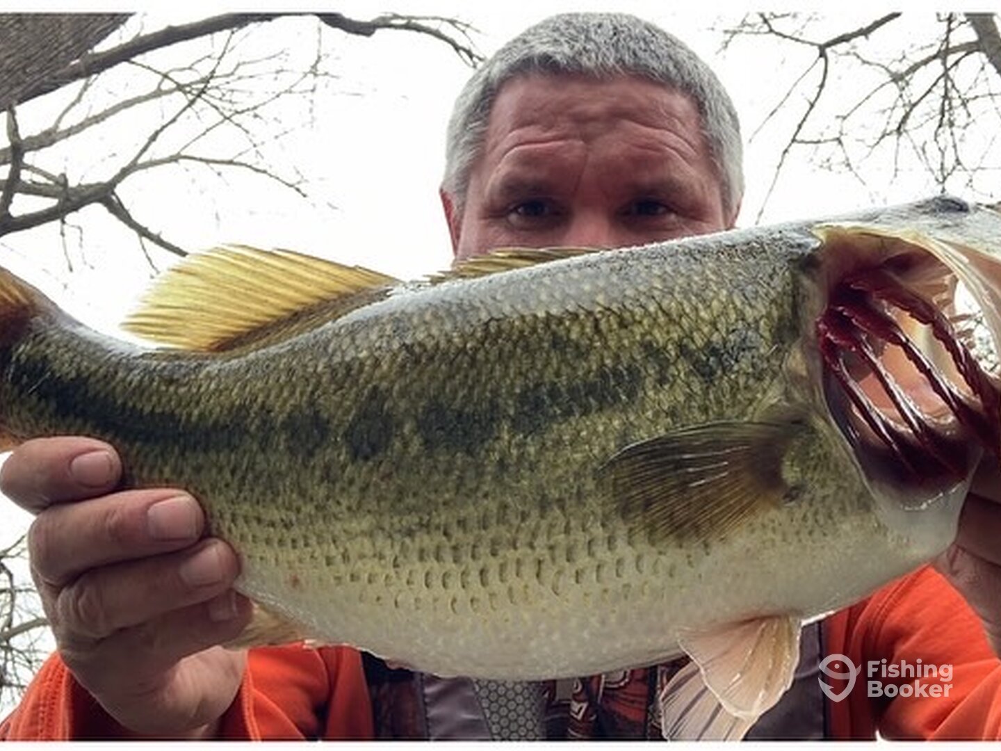 Big largemouth bass