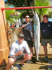 Stripper marlin! Daliken Sportfishing!