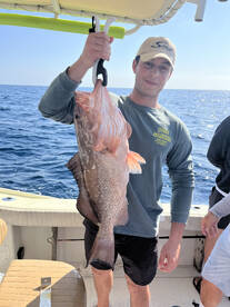 Naples Report Photo 2