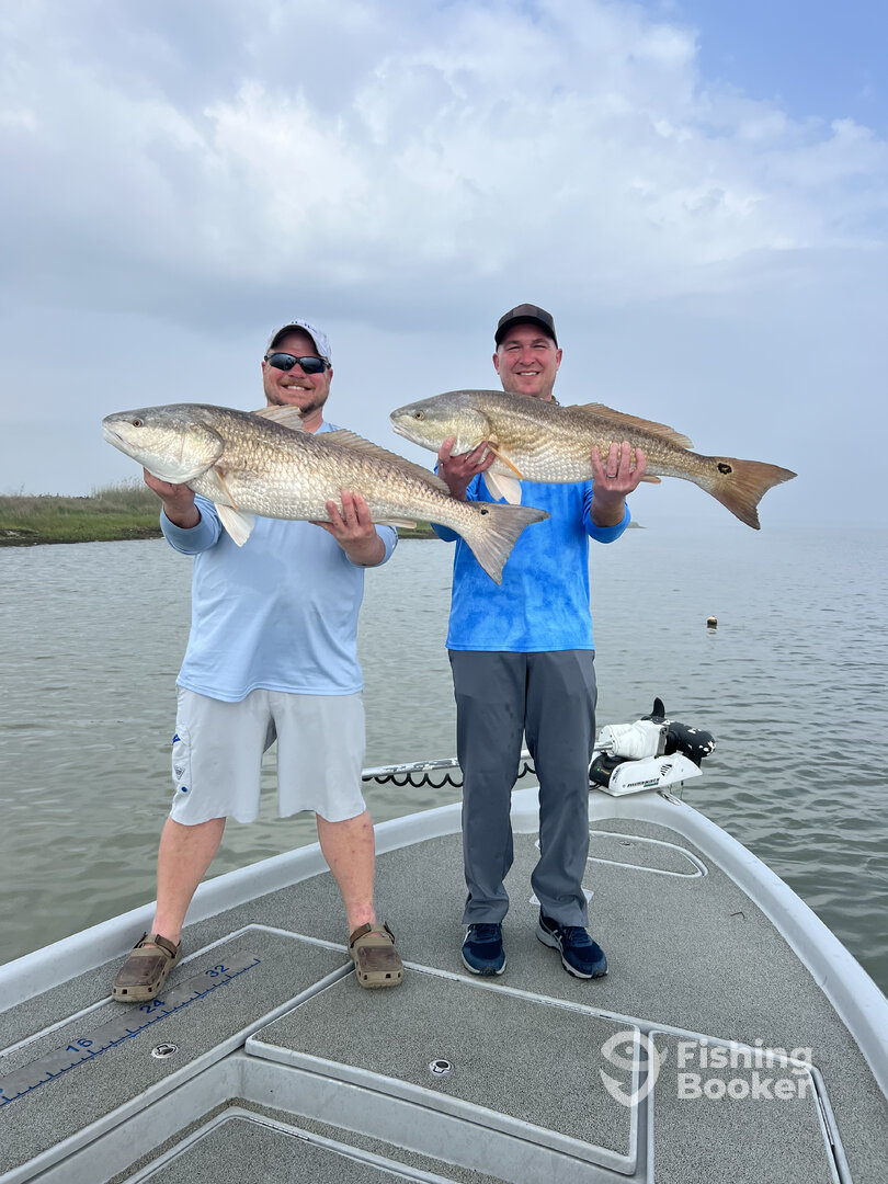 Venice Report Photo 0