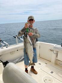 Sterling Report Photo 2