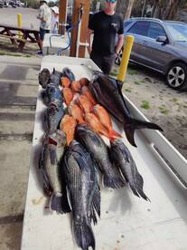 February and March great time to catch f