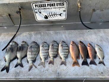 Port Canaveral Report Photo 1