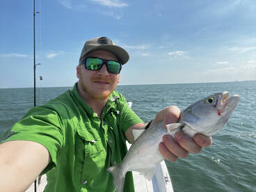 Port Canaveral Report Photo 2