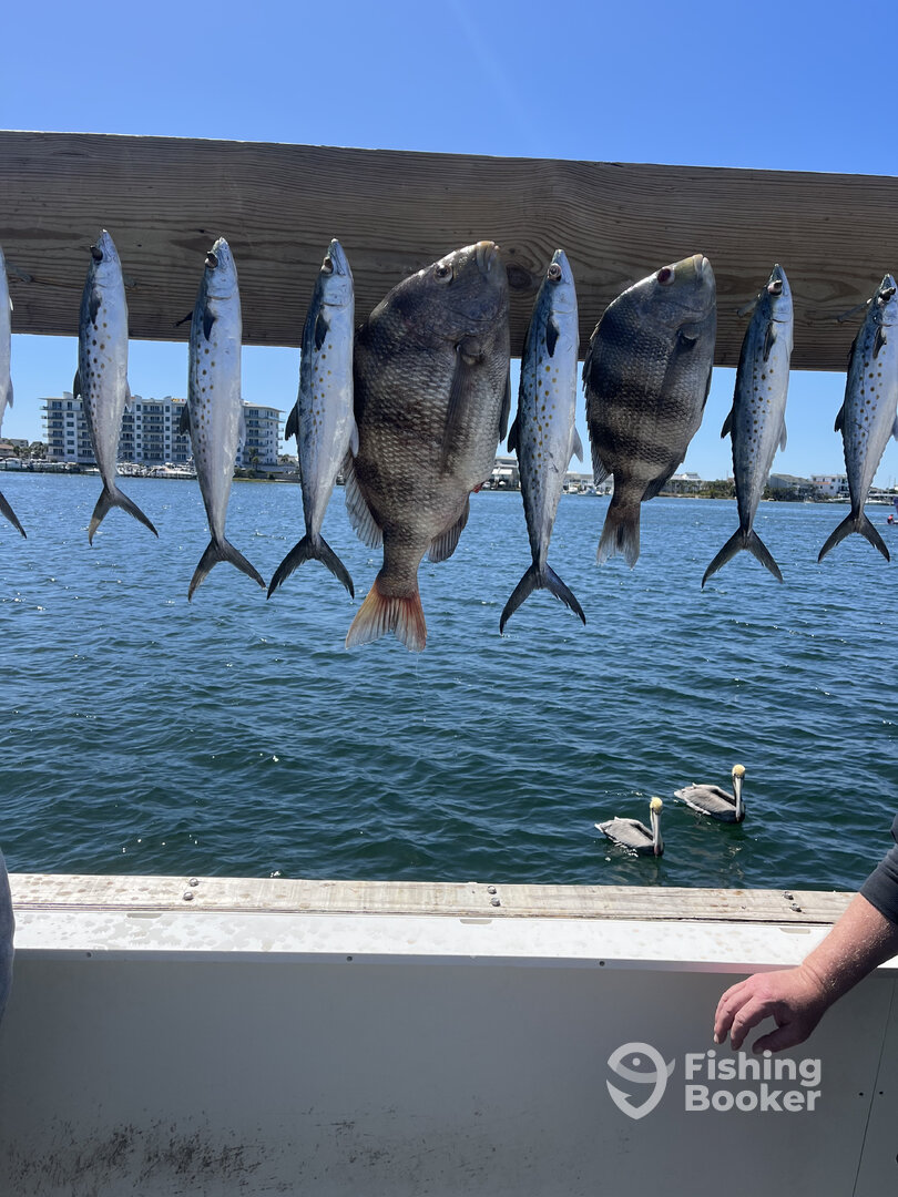 Destin Report Photo 0