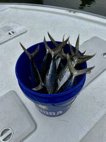 Destin Verslag Foto 2