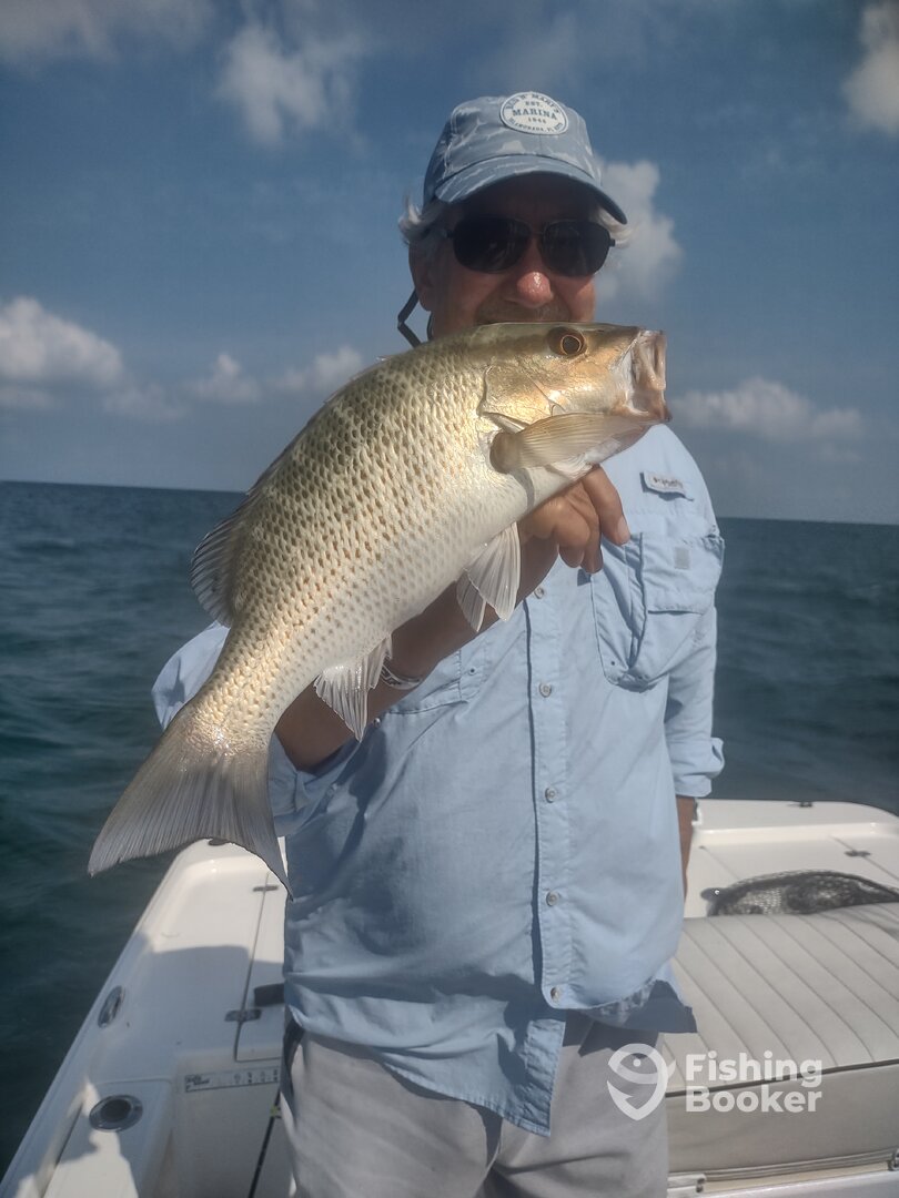 Yankeetown Report Photo 0