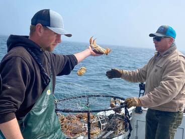 Now booking our spring, summer, and fall