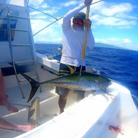 Le Morne Report Photo 2