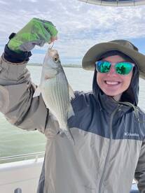 Grapevine Report Photo 2