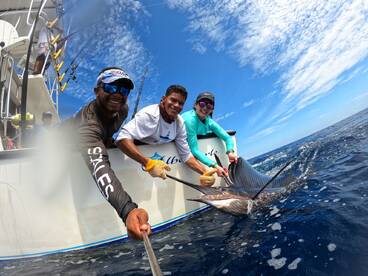 Playa Flamingo Report Photo 2