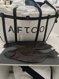 San Diego Report Photo 1