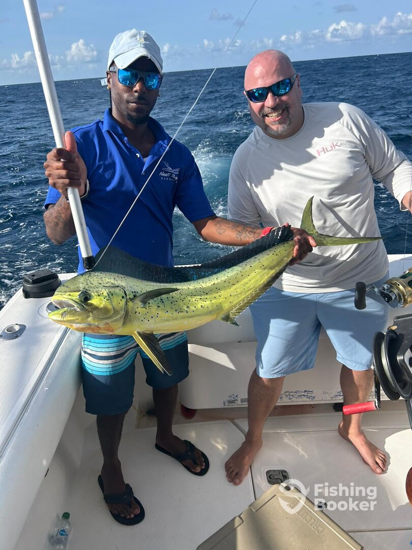 Bridgetown Report Photo 0