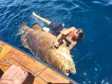 Fernandina Beach Report Photo 1