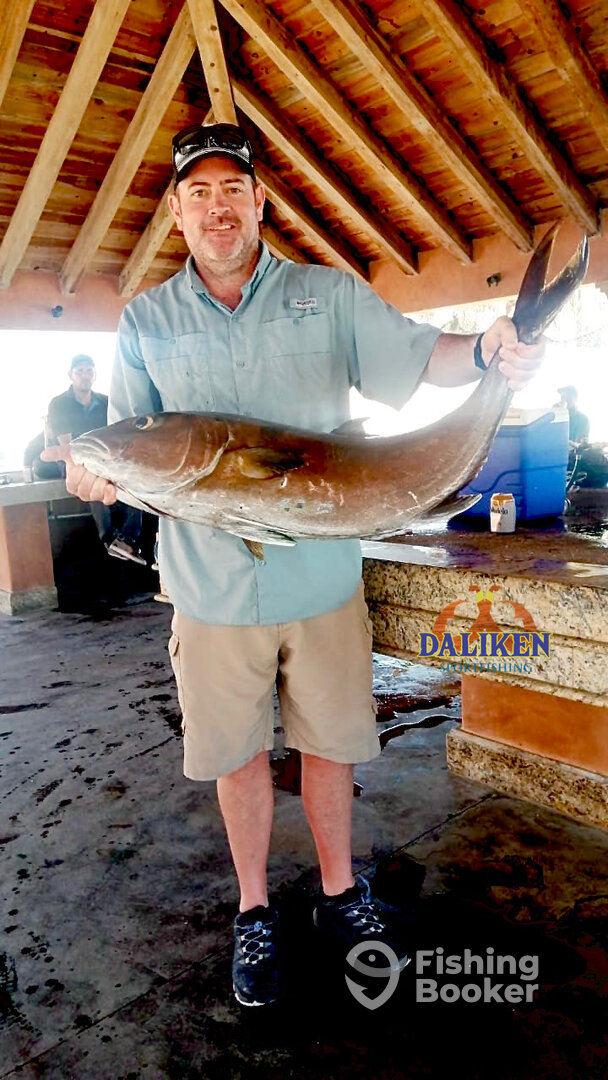 San Jose del Cabo Report Photo 0