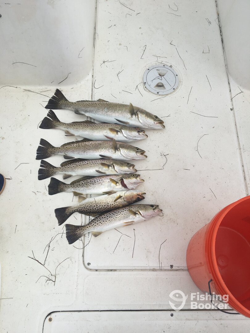 Rodanthe Report Photo 0