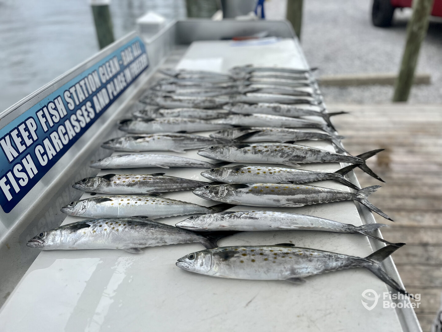 Shalimar Report Photo 0