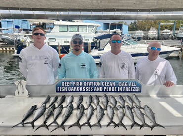 Shalimar Report Photo 2