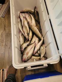 Lakeside Marblehead Report Photo 1