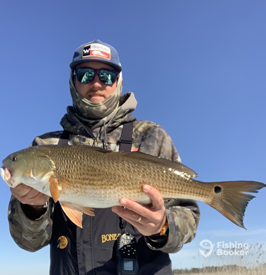 Carolina Beach Report Photo 0