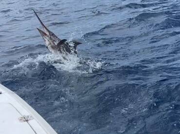 Quepos Report Photo 2