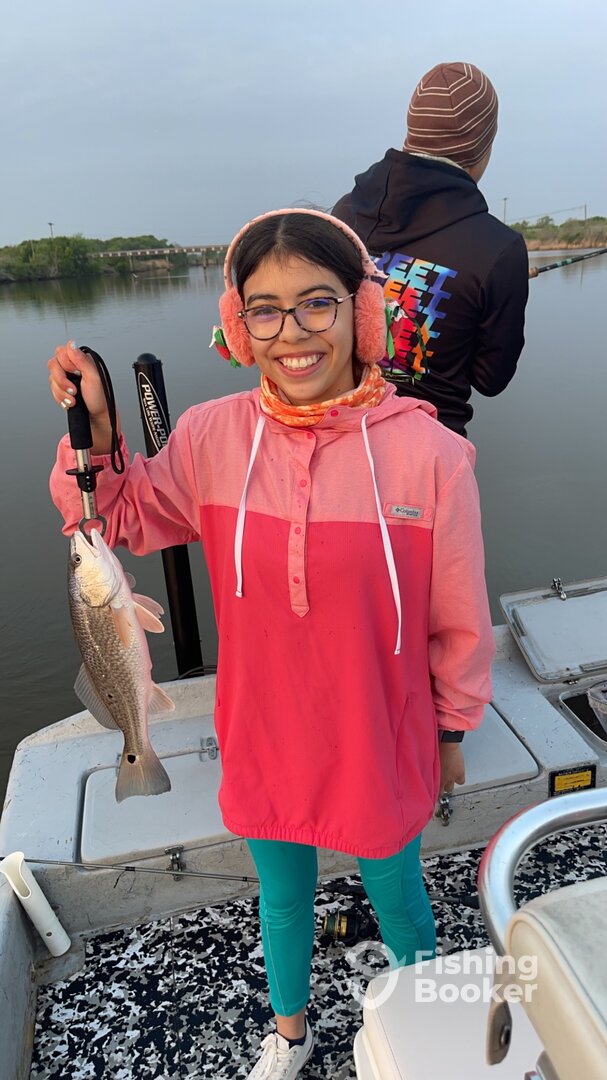 Palacios Report Photo 0