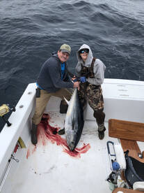 Hatteras Verslag Foto 1