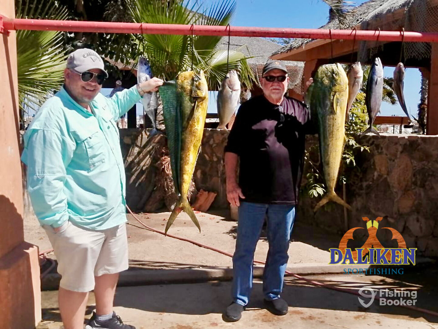 San Jose del Cabo Report Photo 0