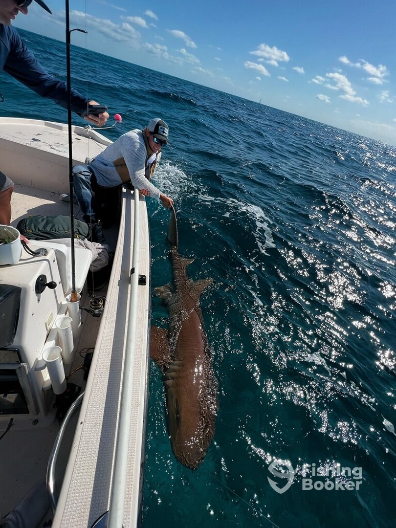 Islamorada Report Photo 0