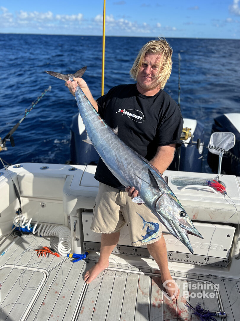 Tavernier Report Photo 0